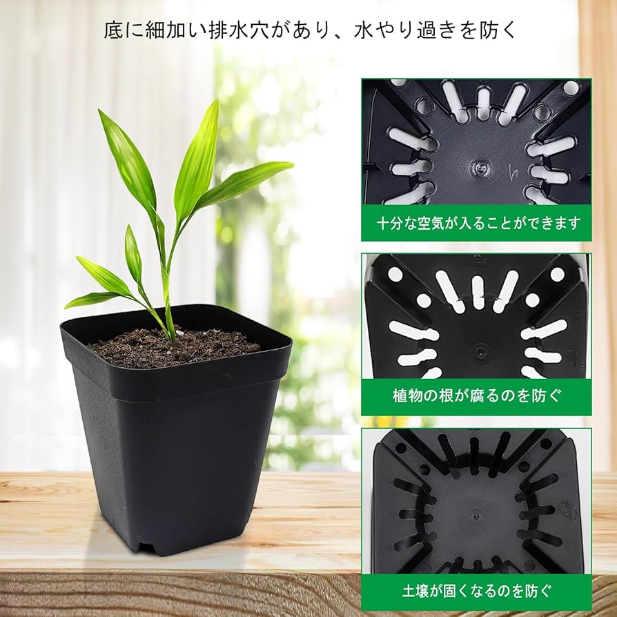 71gJe8Fn+TL._AC_UF894, 71gJe8Fn+TL._AC_UF894,